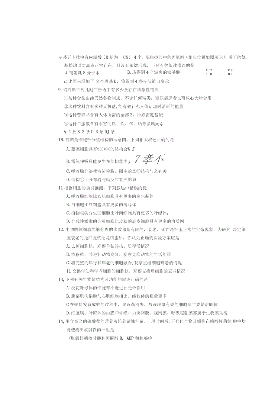 广东省梅州市2019-2020学年高一生物上学期期末考试试题(扫描版)_第2页