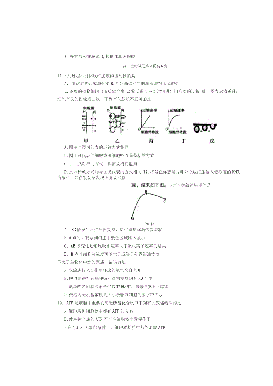 广东省梅州市2019-2020学年高一生物上学期期末考试试题(扫描版)_第3页