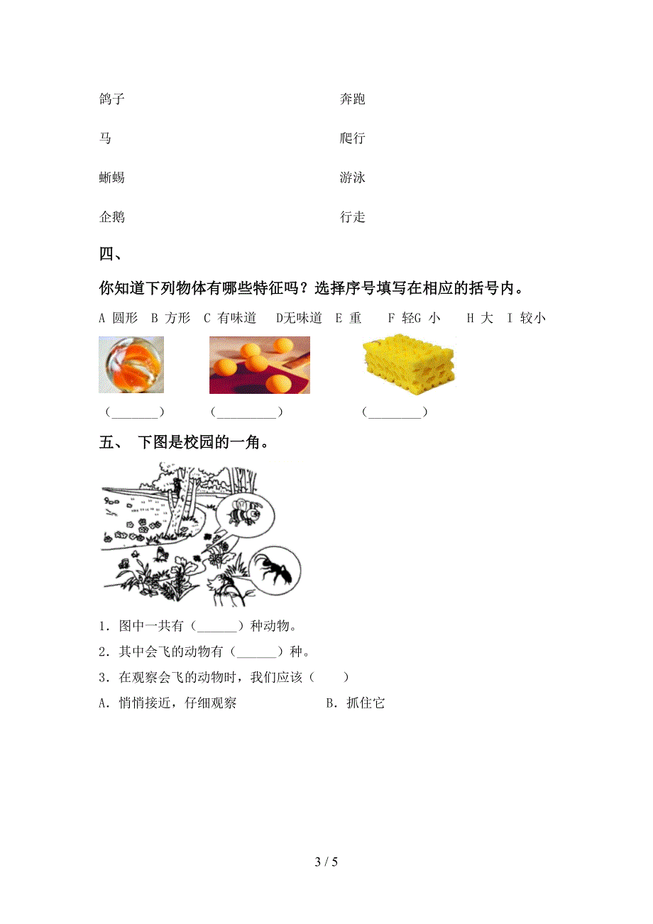 一年级科学上册期中考试卷及答案(1).doc_第3页