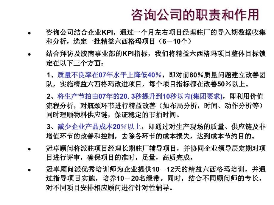 精益六西格玛推行方案课件_第5页