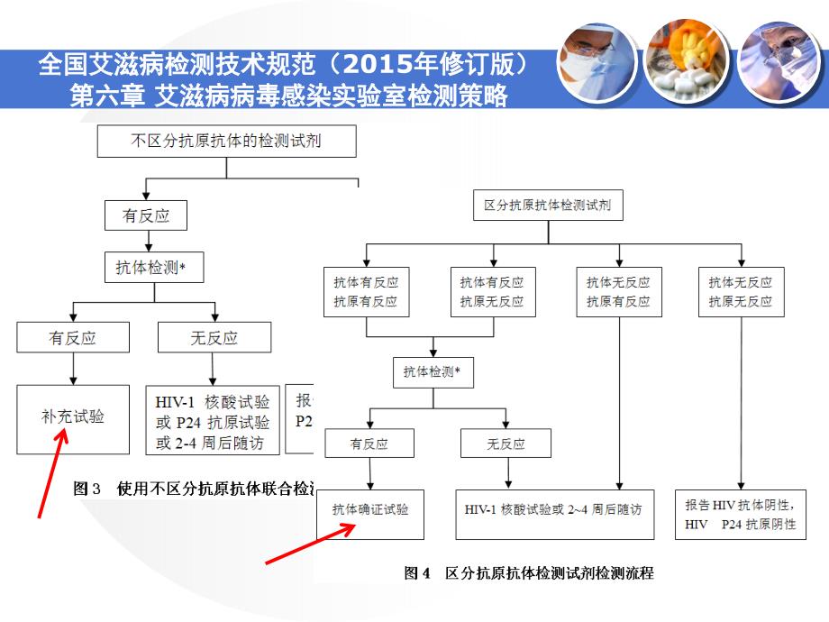 艾滋病抗体检测技术免疫印迹法及质量控制课堂PPT_第3页