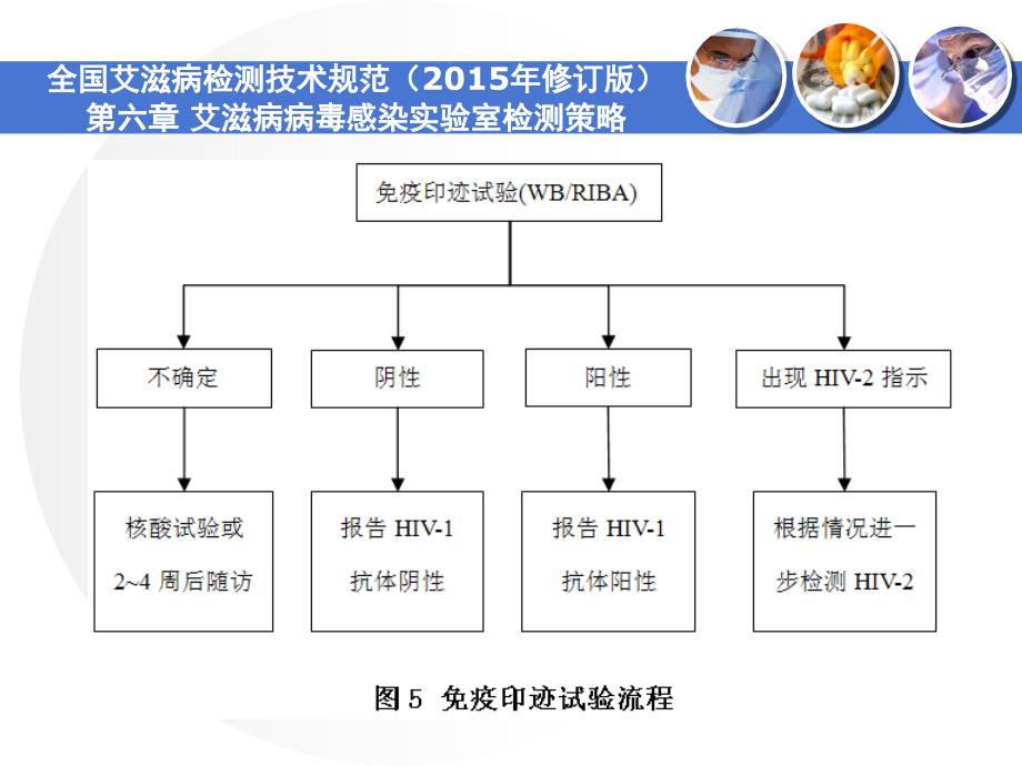 艾滋病抗体检测技术免疫印迹法及质量控制课堂PPT_第4页