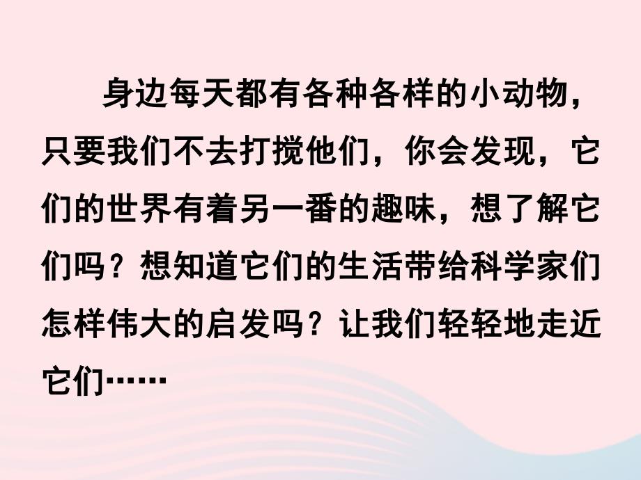 最新三年级科学上册2.1寻访小动物课件3_第3页