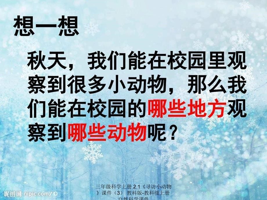 最新三年级科学上册2.1寻访小动物课件3_第5页