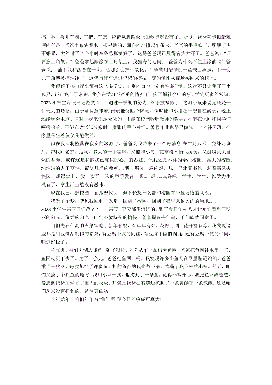 2023小学生寒假日记范文4篇 小学生寒假日记内容_第2页