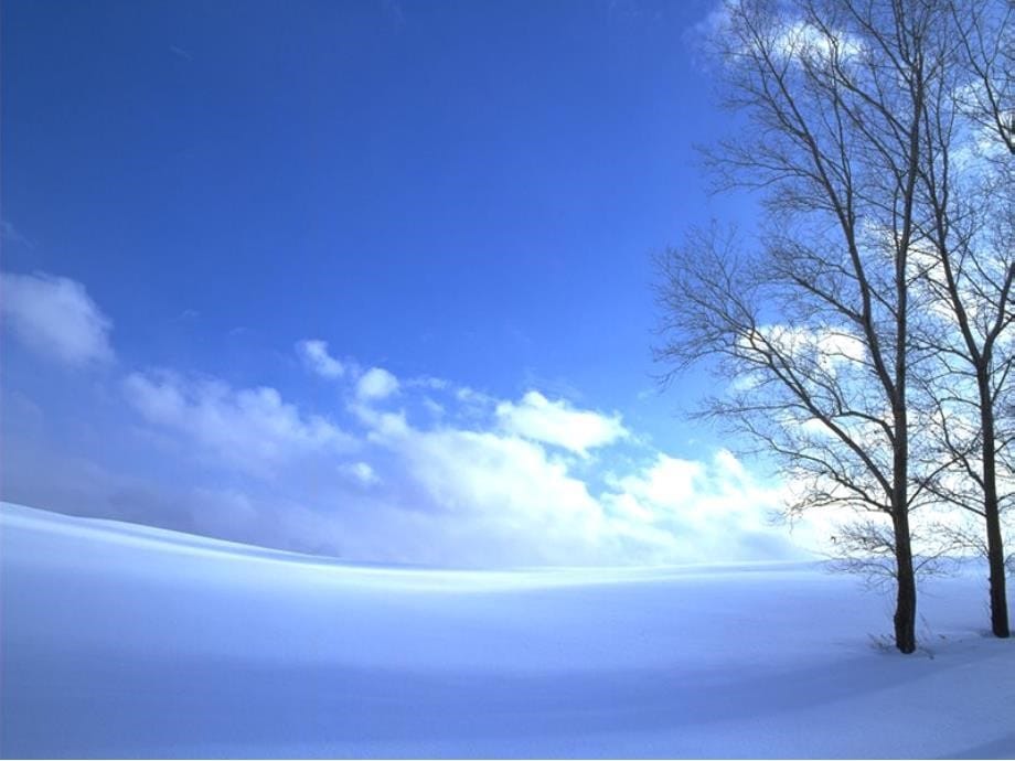 (北师大版)四年级语文上册课件下雪的早晨_第5页