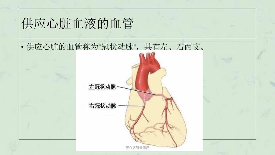 冠心病科普演示课件_第4页