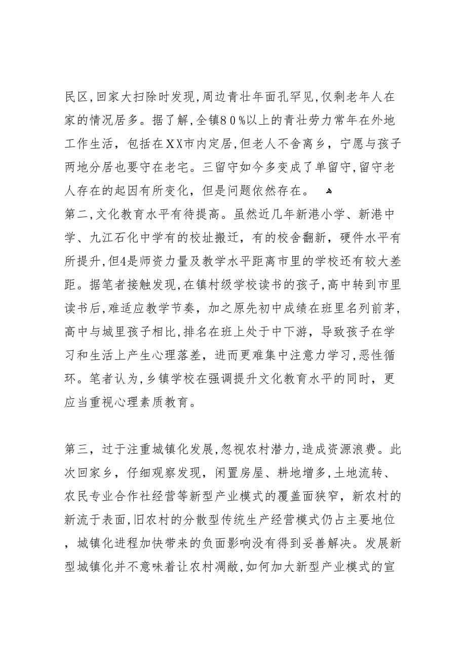 最新关于春节回乡调研报告_第5页
