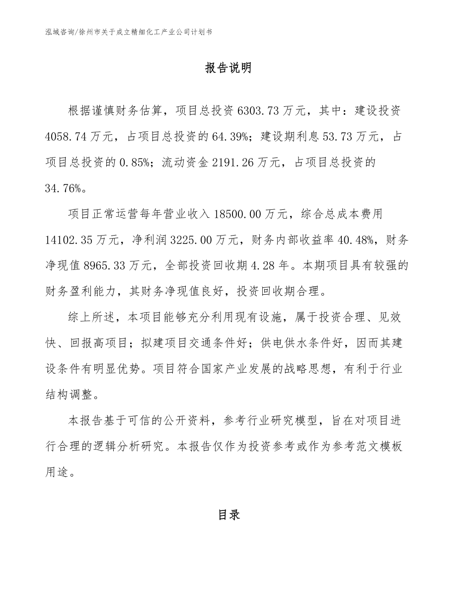 徐州市关于成立精细化工产业公司计划书_第1页