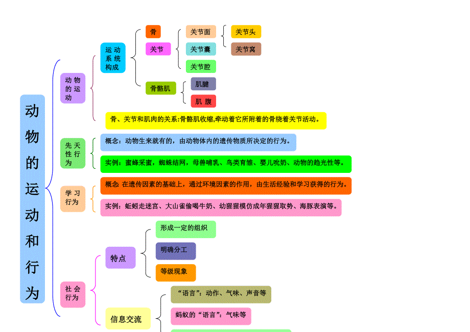 动物的运动和行为_第1页