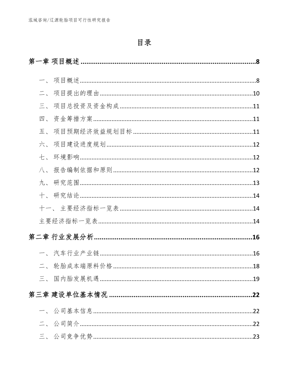 辽源轮胎项目可行性研究报告（模板范文）_第2页