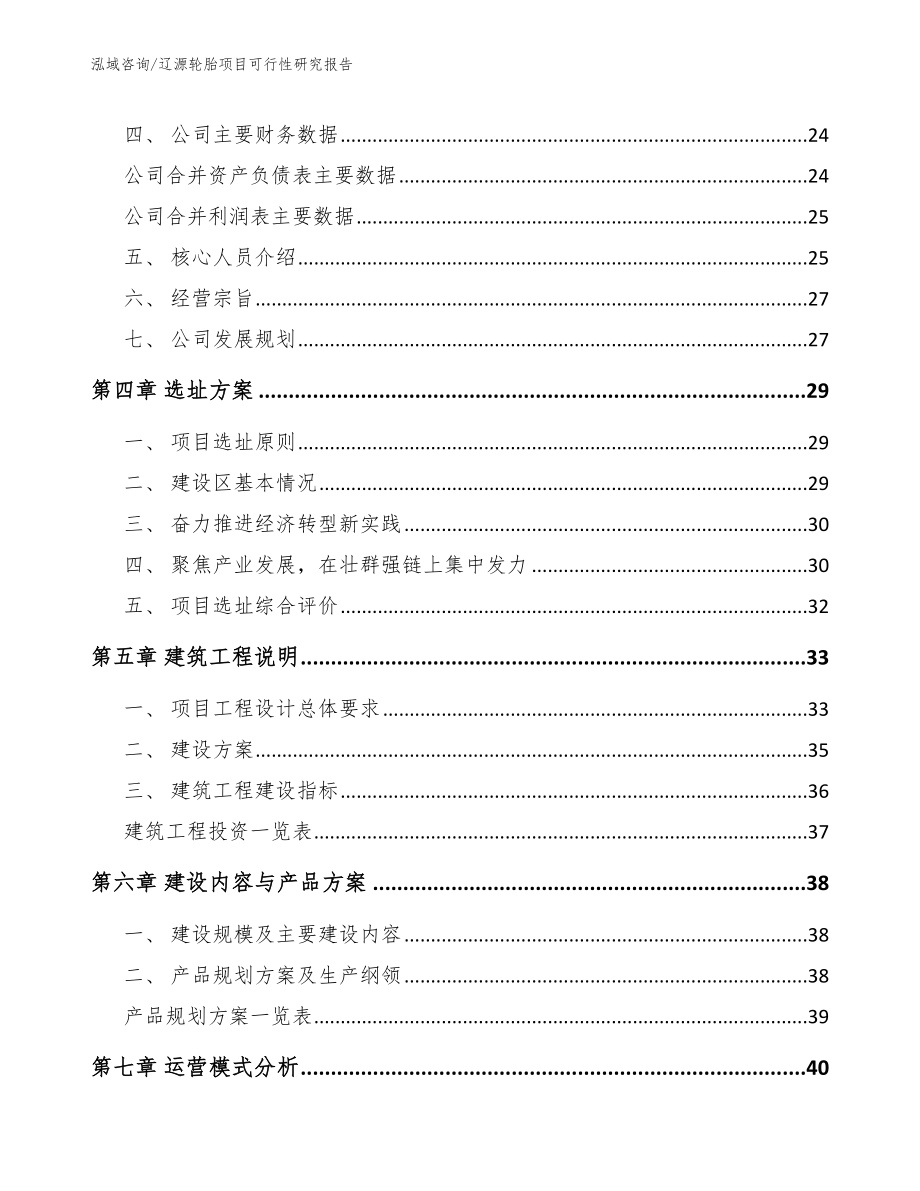 辽源轮胎项目可行性研究报告（模板范文）_第3页