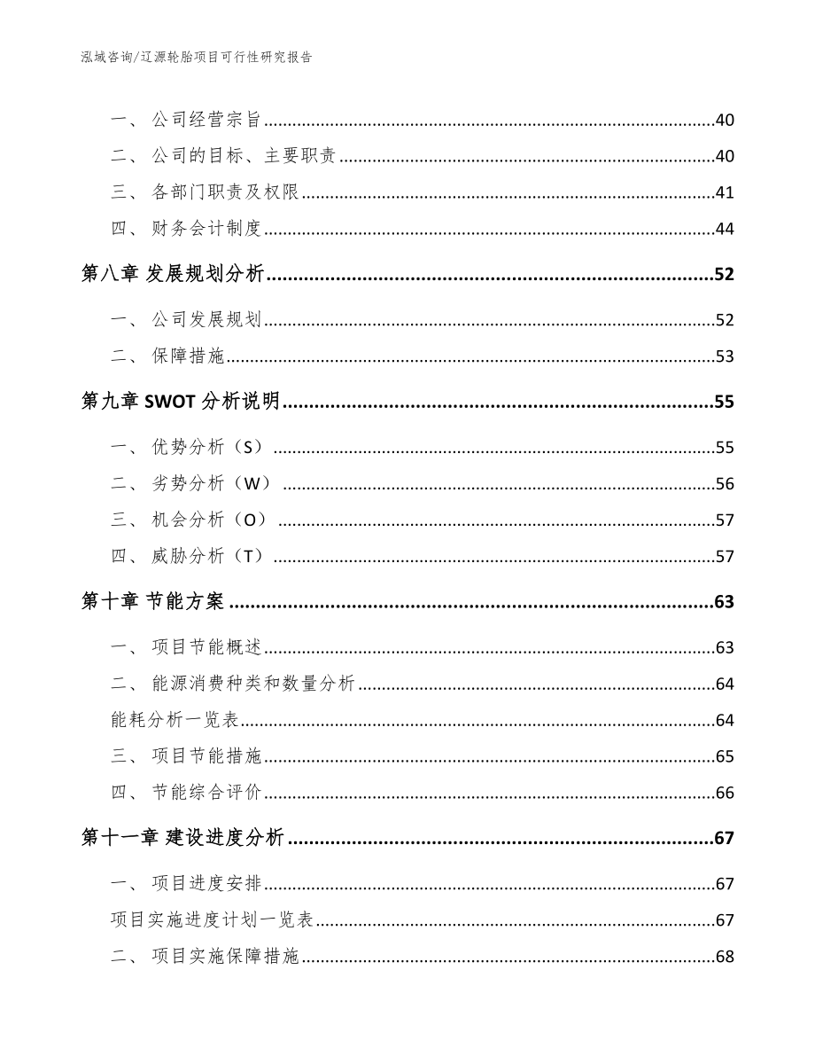 辽源轮胎项目可行性研究报告（模板范文）_第4页