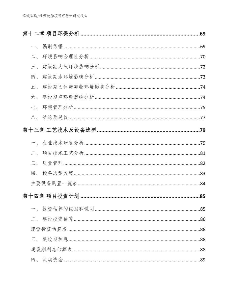 辽源轮胎项目可行性研究报告（模板范文）_第5页