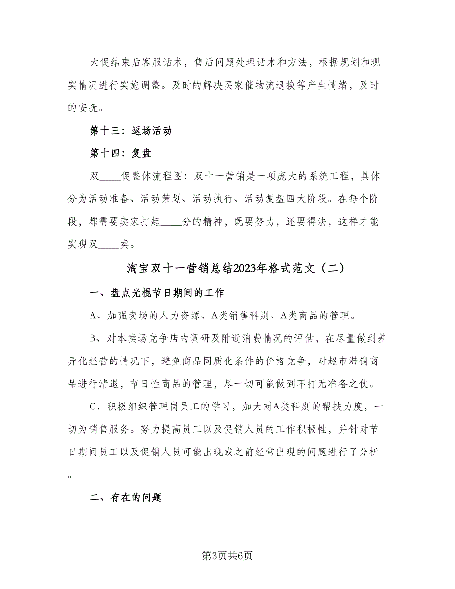 淘宝双十一营销总结2023年格式范文（二篇）_第3页