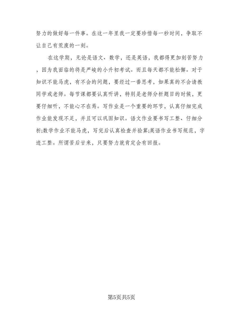 六年级学习计划参考范文（4篇）_第5页