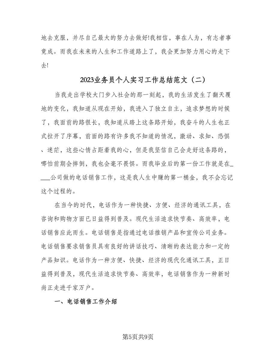 2023业务员个人实习工作总结范文（二篇）.doc_第5页