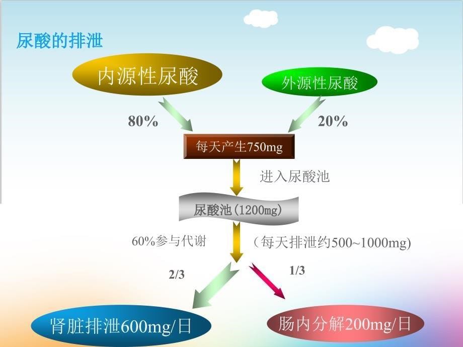 高尿酸血症与痛风的饮食管理概述课件_第5页