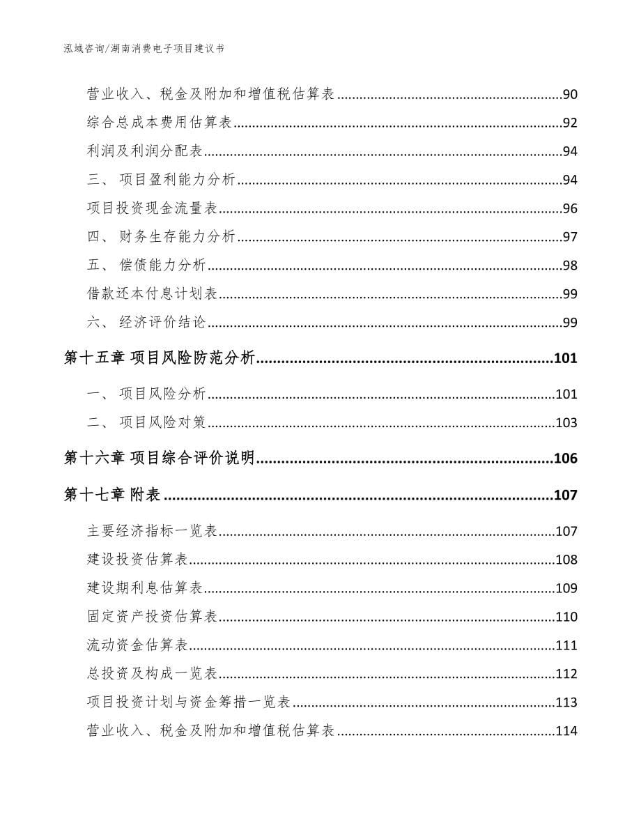 湖南消费电子项目建议书_第5页