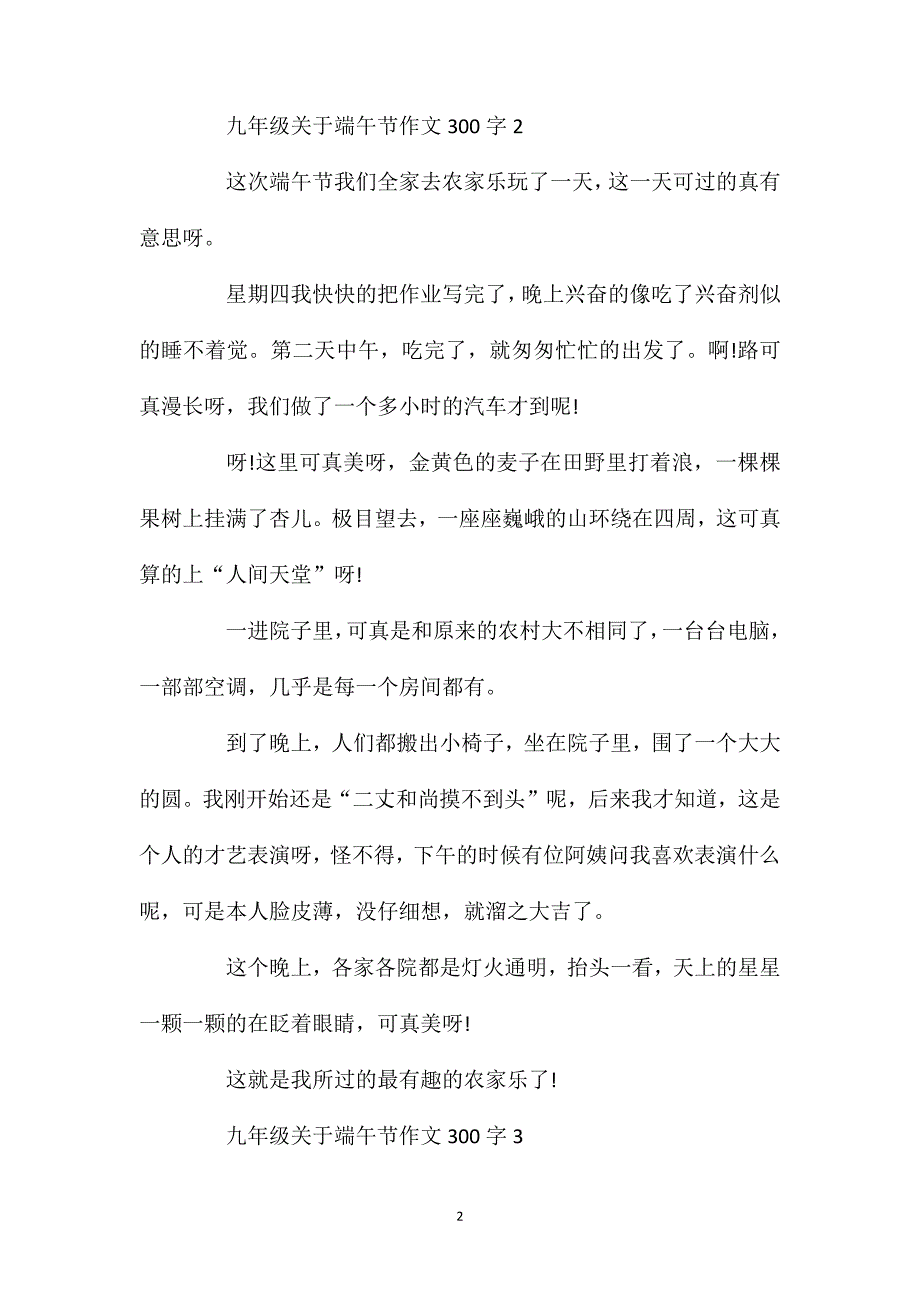 九年级关于端午节作文300字.doc_第2页