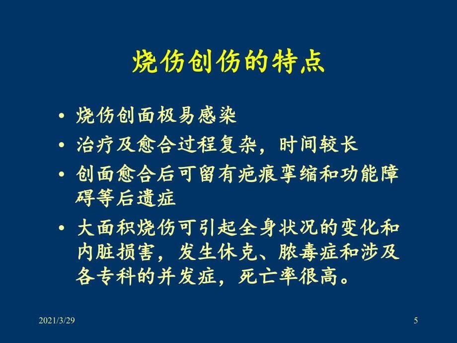 烧伤学习课堂PPT_第5页