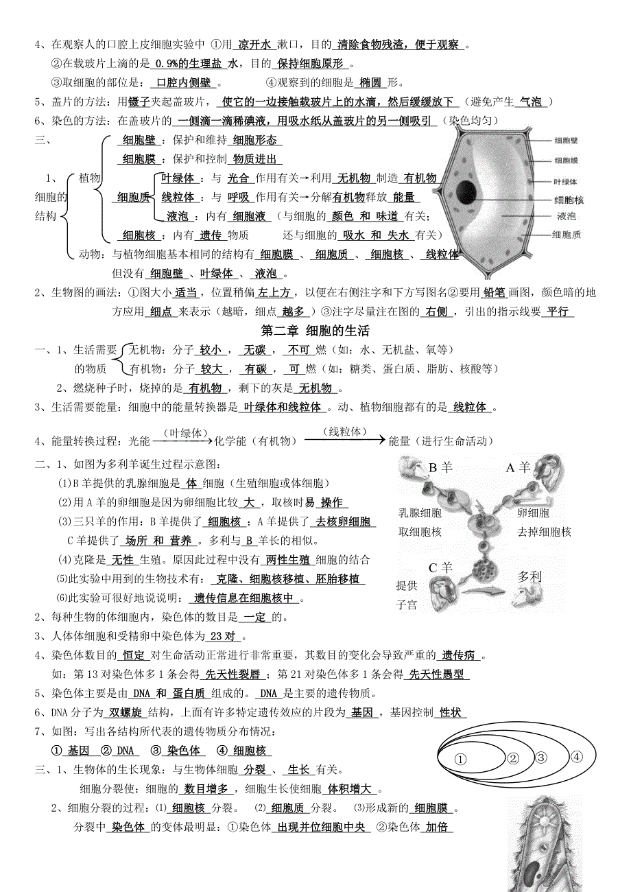 七年级生物上册期中复习知识点整理_第3页