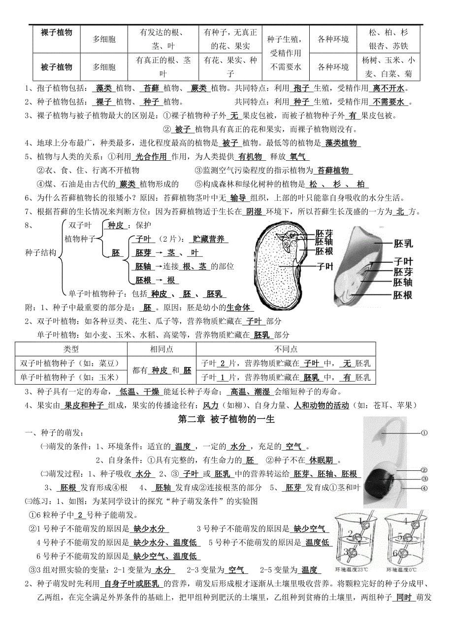 七年级生物上册期中复习知识点整理_第5页