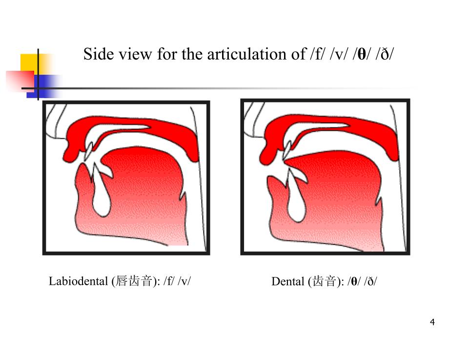 unit6fricativesandaffricates_第4页