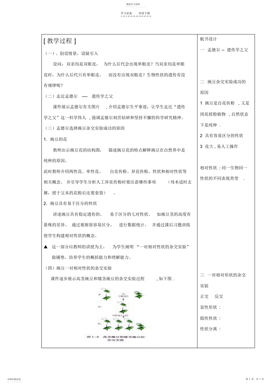 2022年第一章遗传因子的发现教案_第2页