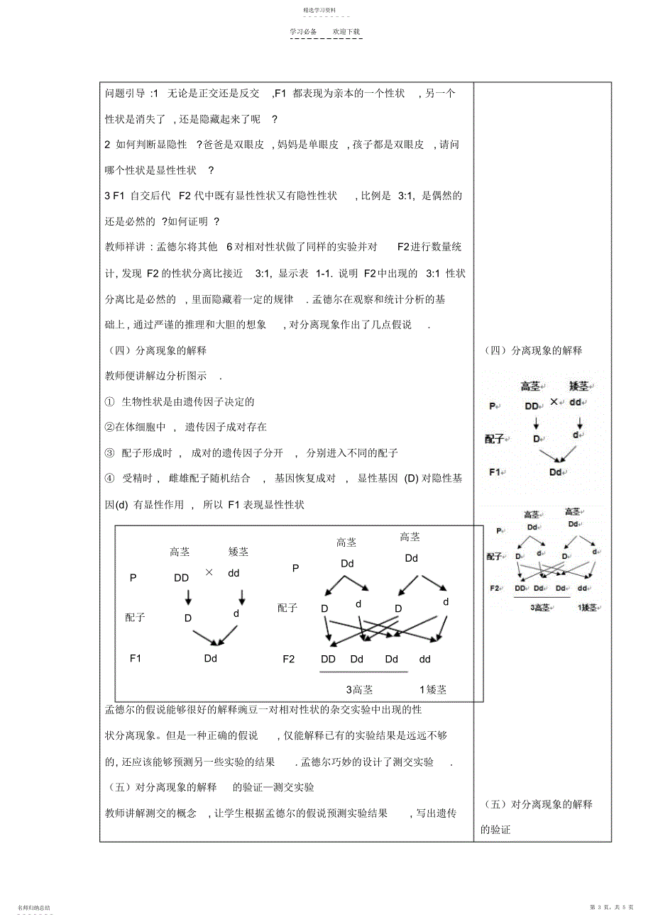 2022年第一章遗传因子的发现教案_第3页