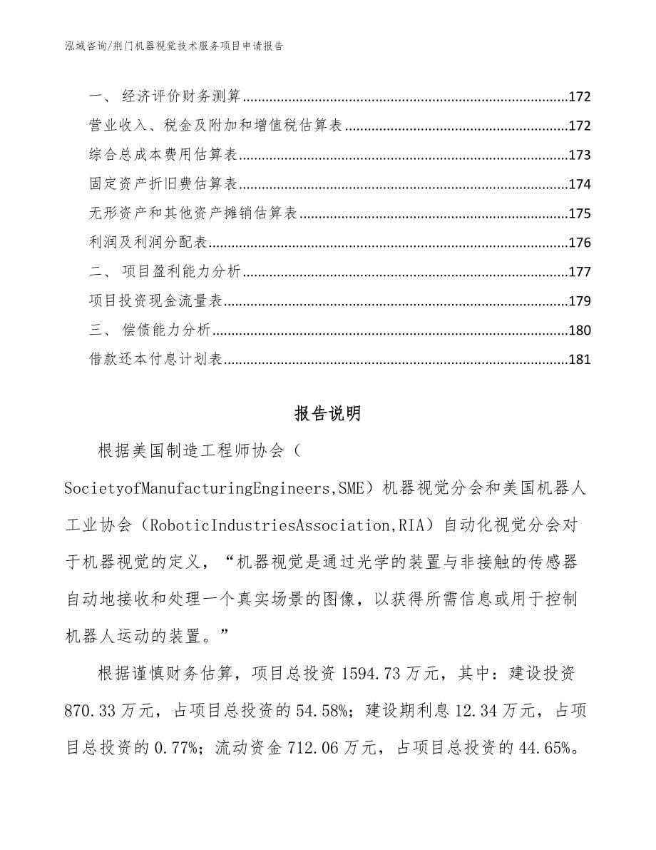 荆门机器视觉技术服务项目申请报告模板_第5页