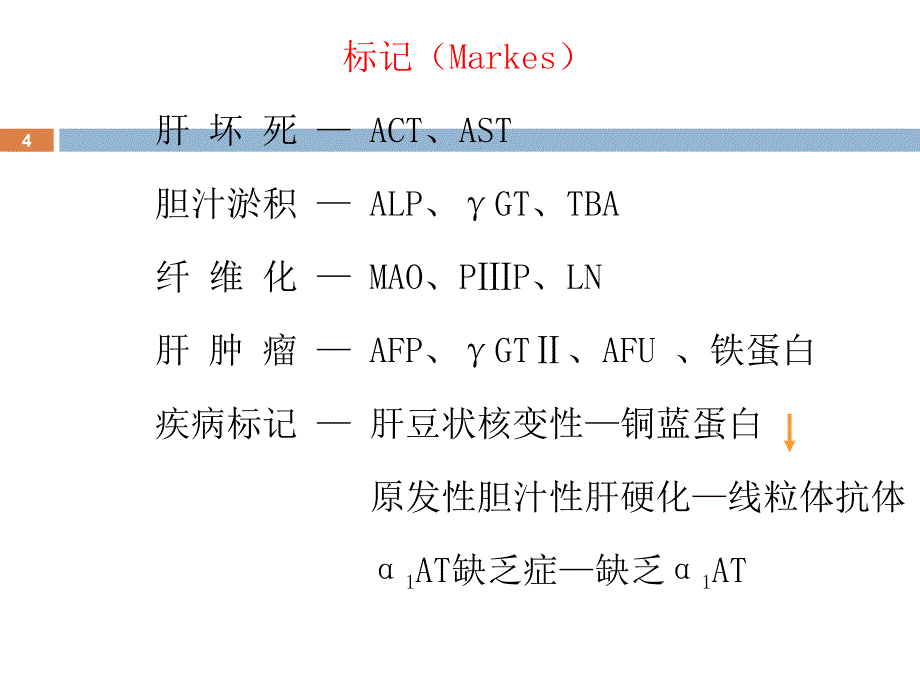 肝功能指标意义ppt课件_第4页