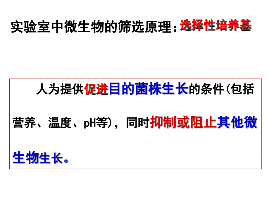 分离以尿素为氮源的微生物上课_第4页