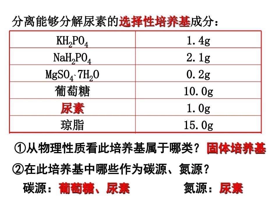 分离以尿素为氮源的微生物上课_第5页