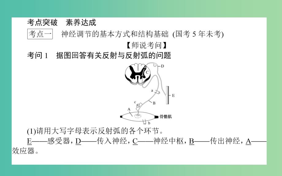 2020版高考生物新金典大一轮复习 课堂互动探究案3.1.2人和高等动物的神经调节课件 新人教版.ppt_第2页