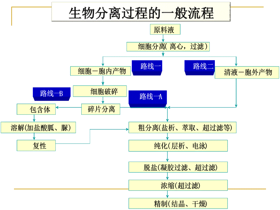 发酵液预处理与固液分离_第2页