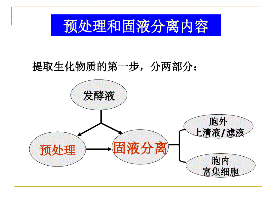 发酵液预处理与固液分离_第4页