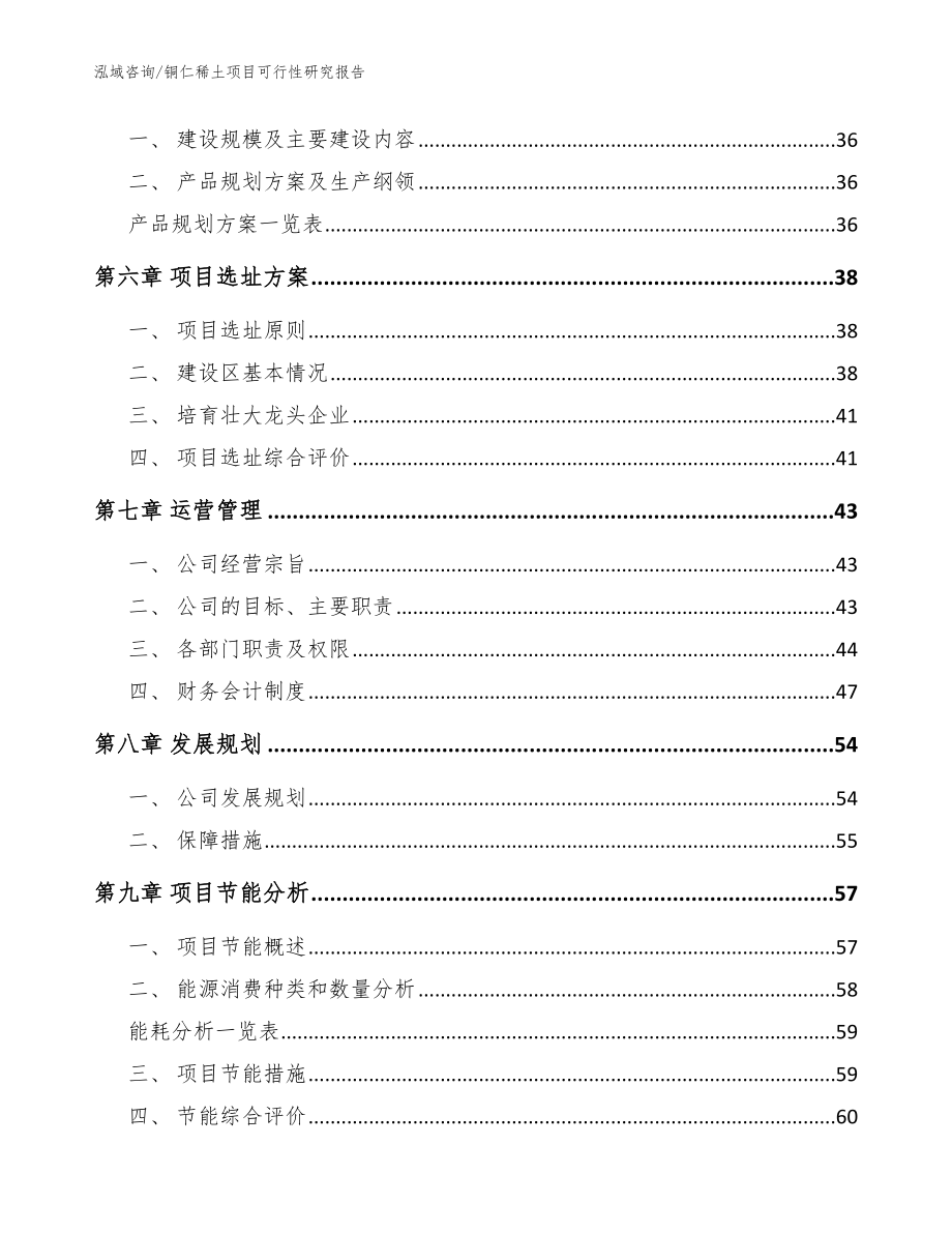 铜仁稀土项目可行性研究报告（模板范本）_第4页