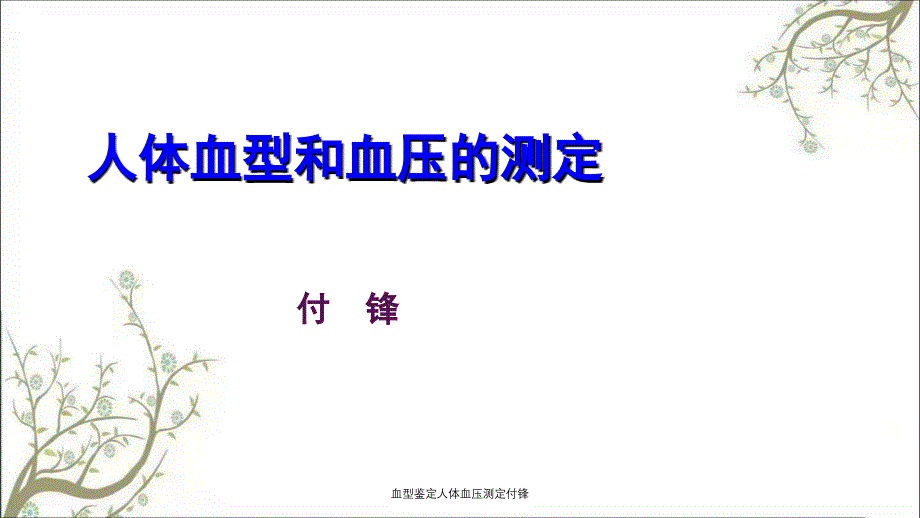 血型鉴定人体血压测定付锋课件_第1页