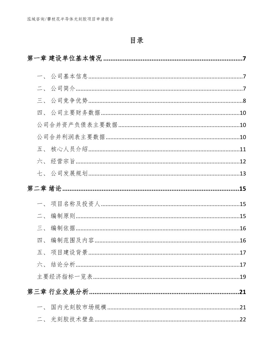 攀枝花半导体光刻胶项目申请报告_模板参考_第1页