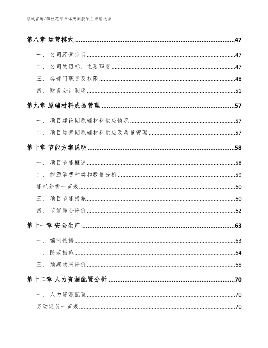 攀枝花半导体光刻胶项目申请报告_模板参考_第3页