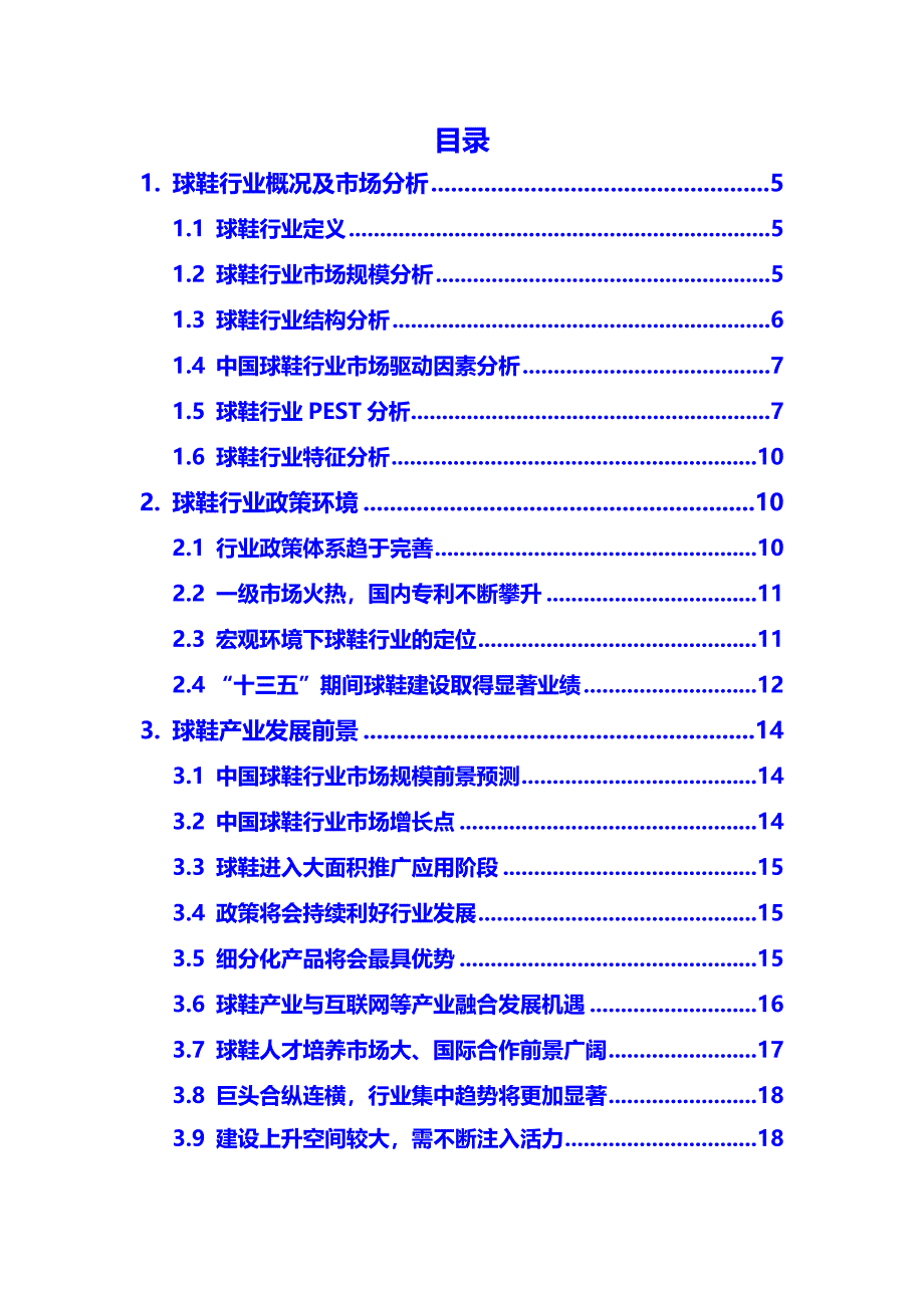 2020年球鞋行业现状及投资前景预测报告_第2页