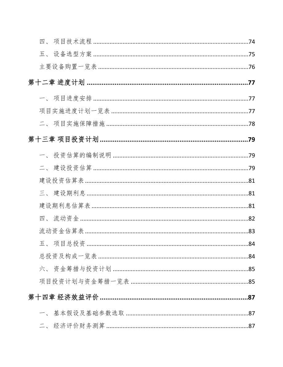 山西聚酯薄膜项目可行性研究报告(DOC 81页)_第4页