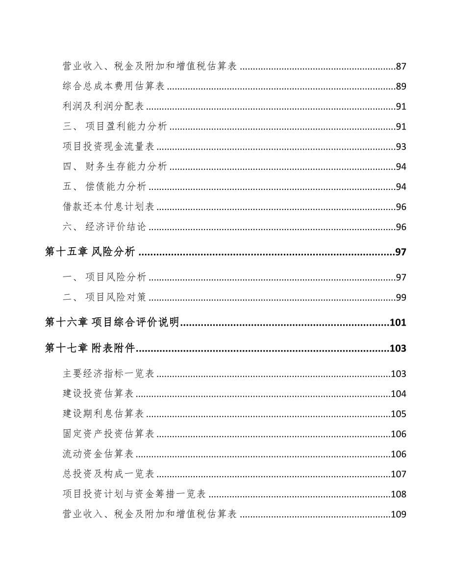 山西聚酯薄膜项目可行性研究报告(DOC 81页)_第5页