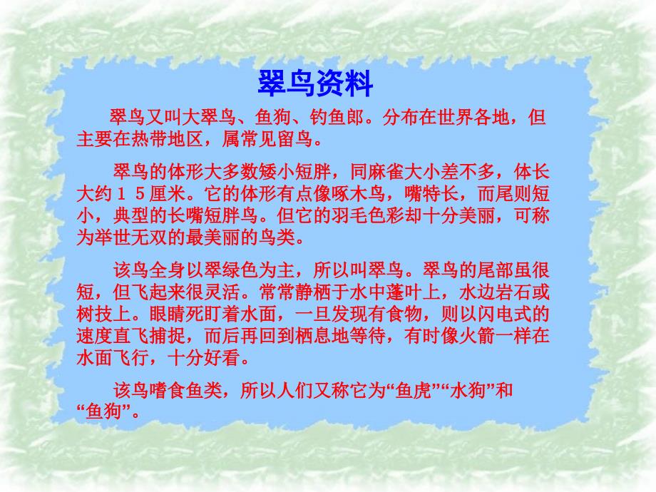 翠鸟课件.ppt_第4页