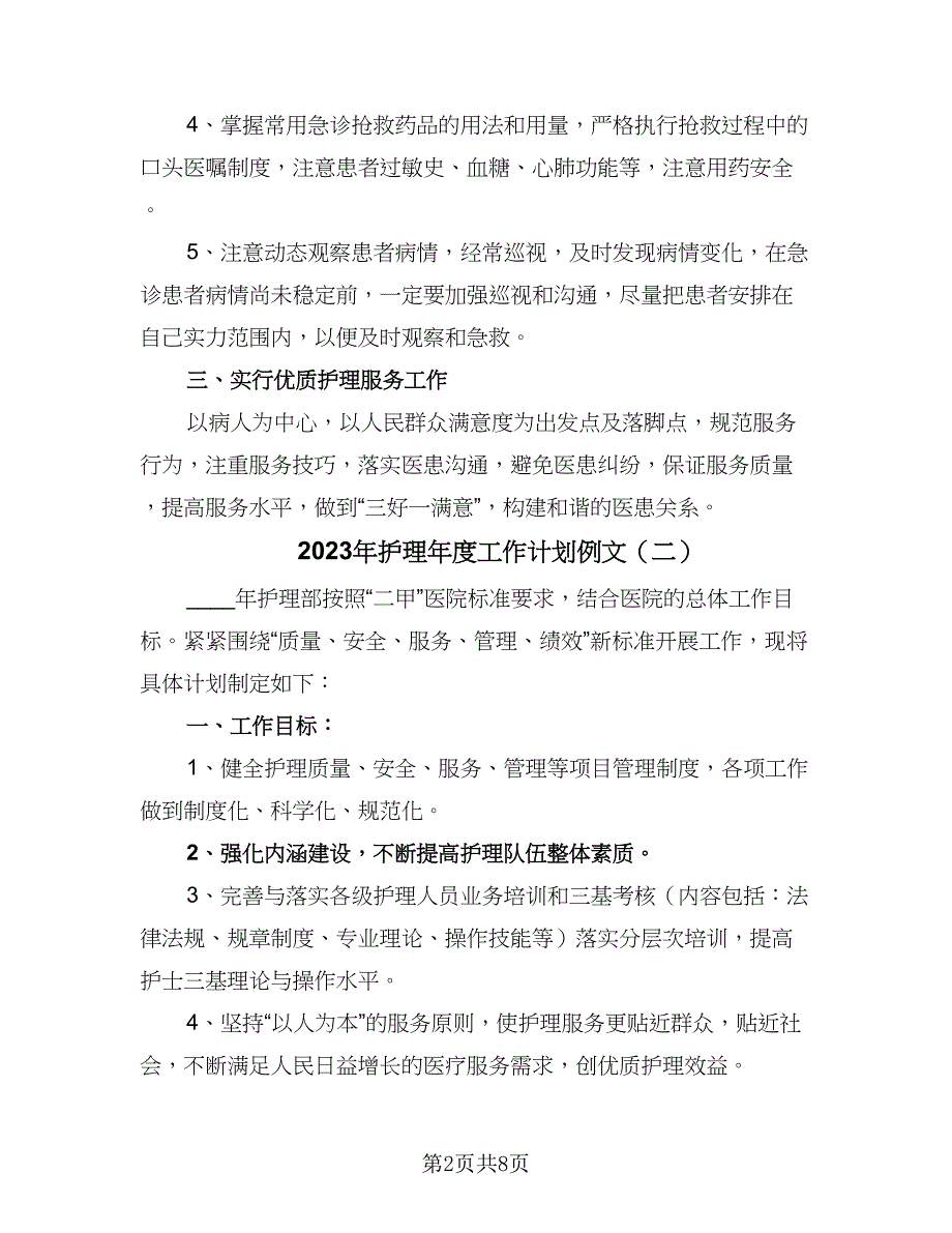 2023年护理年度工作计划例文（二篇）_第2页