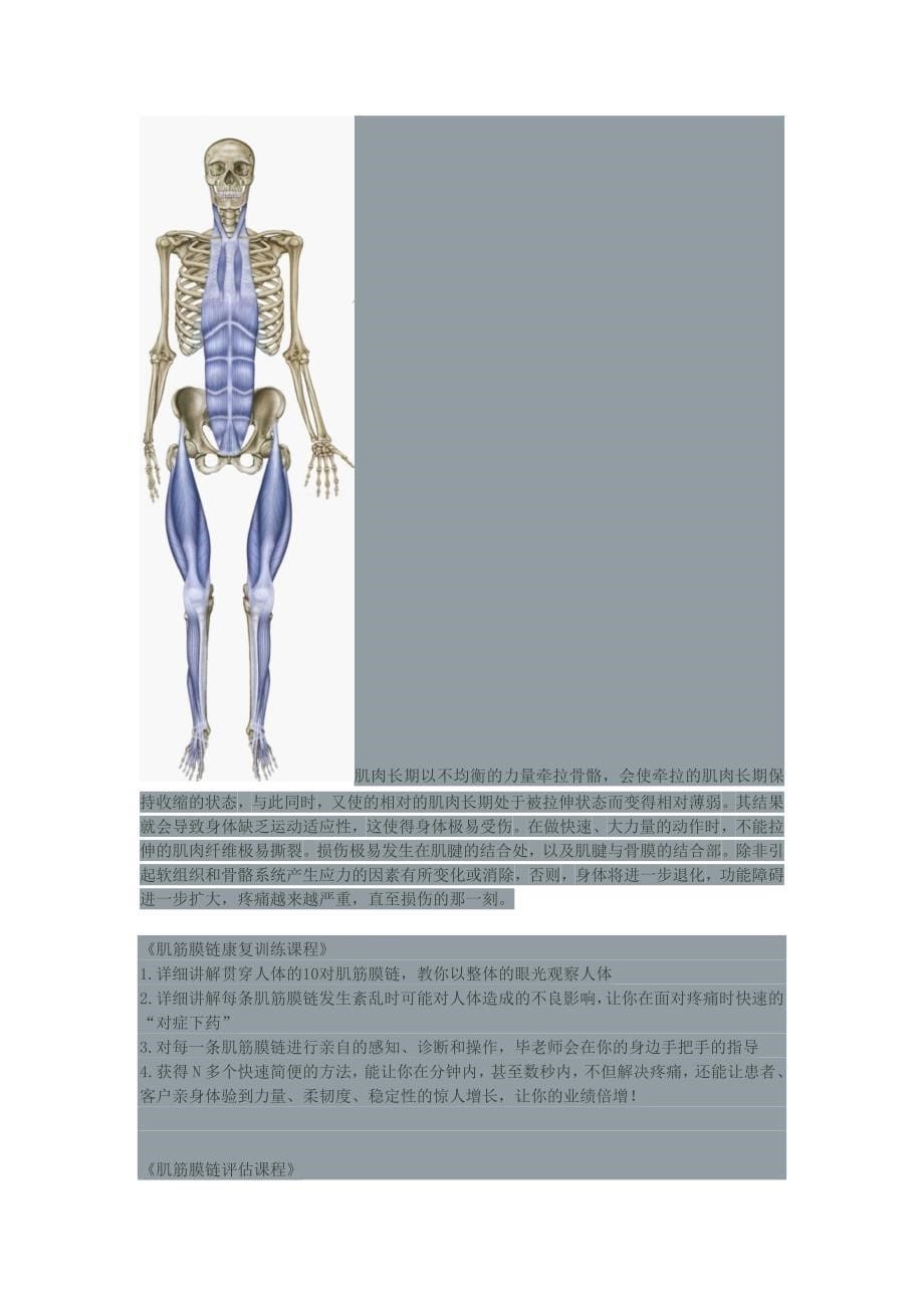 肌筋膜理论知识.doc_第5页