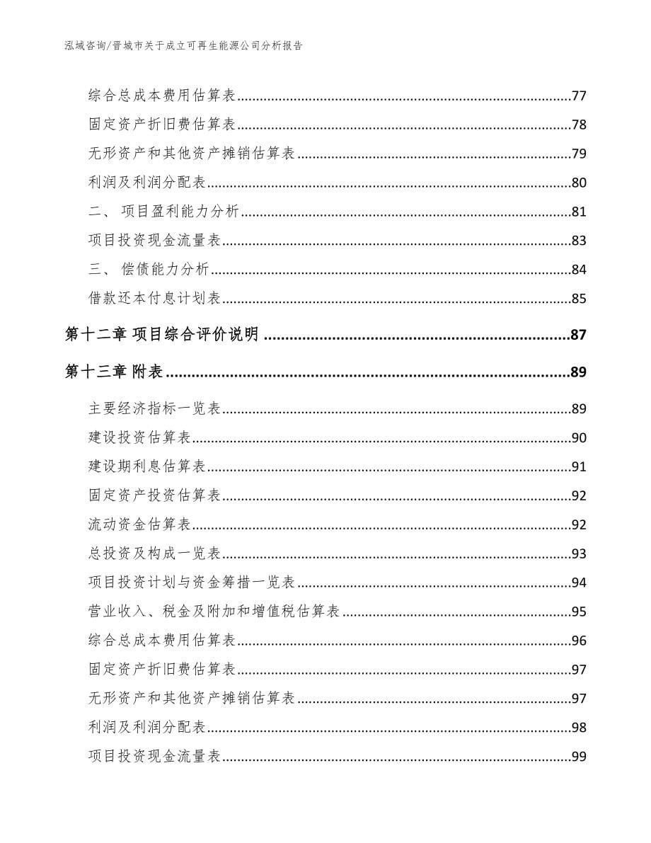 晋城市关于成立可再生能源公司分析报告（模板）_第5页