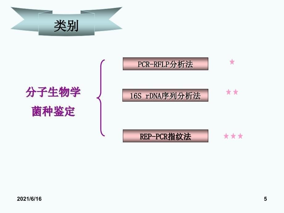 菌种鉴定PPT课件_第5页