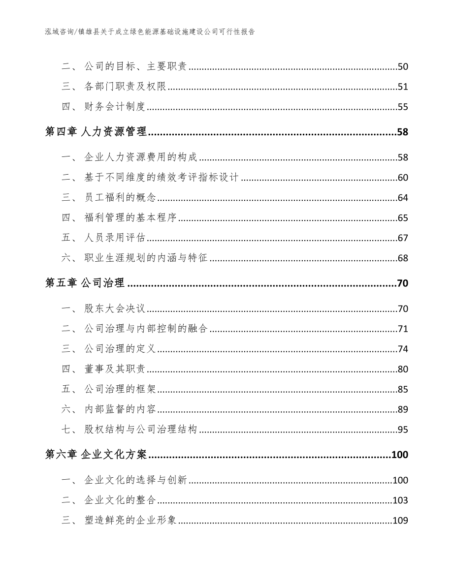 镇雄县关于成立绿色能源基础设施建设公司可行性报告_第2页